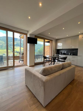 Magnifique appartement neuf dans chalet + parking